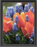 geringe Farbwiedergabestufe