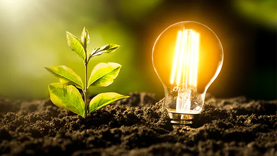 Glühbirne mit Pflanze 